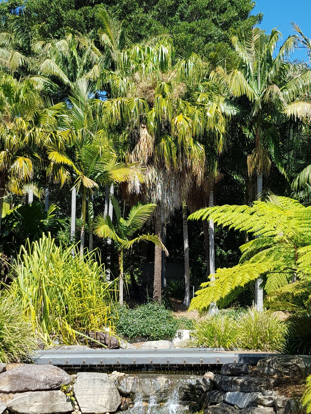 The Bowden Centre | park | The Australian Botanic Garden, Mount Annan, New South Wales, 2567, Mount Annan NSW 2567, Australia | 0246347900 OR +61 2 4634 7900