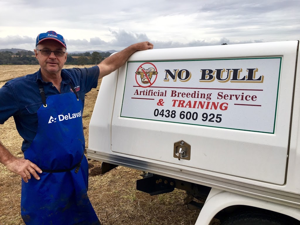 No Bull Artificial Breeding Service and Training | 310 Gloucester Rd, Burrell Creek NSW 2429, Australia | Phone: 0438 600 925