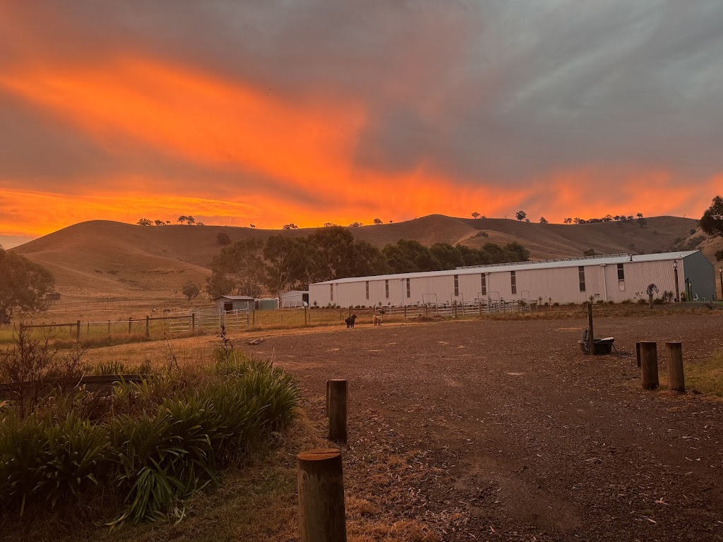 Wildcroft Estate Yea | 526 Ti Tree Creek Rd, Yea VIC 3717, Australia | Phone: 0407 882 935