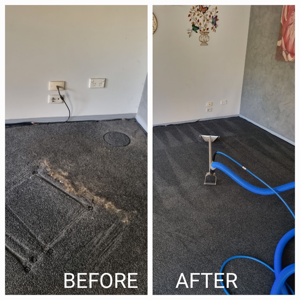 Ticked Off Pests Control and Carpet Cleaning | 39 Fantail Ct, Moorina QLD 4510, Australia | Phone: 0451 730 632