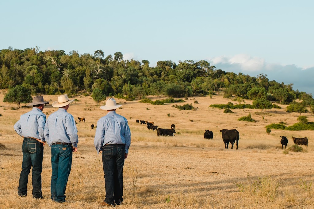 Raine & Horne | 11 / 66, Dalby QLD 4405, Australia | Phone: (07) 4662 1383