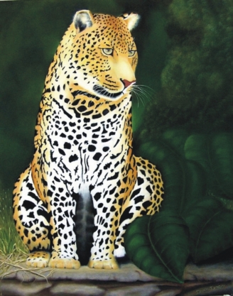 Johnson Art | 29 Waterview Cres, West Haven NSW 2443, Australia | Phone: 0421 174 151