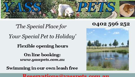 YASS PETS & RIDING SCHOOL | 138 Manton Rd, Manton NSW 2582, Australia | Phone: 0402 596 252