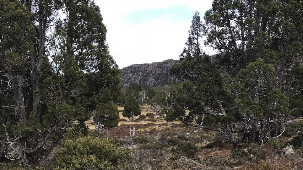 Walls of Jerusalem National Park | park | Walls of Jerusalem TAS 7304, Australia