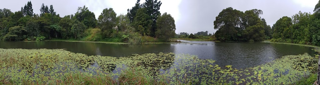 Australan Platypus Park @ Tarzali Lakes | restaurant | 912 Malanda Millaa Millaa Rd, Minbun QLD 4886, Australia | 0740972713 OR +61 7 4097 2713