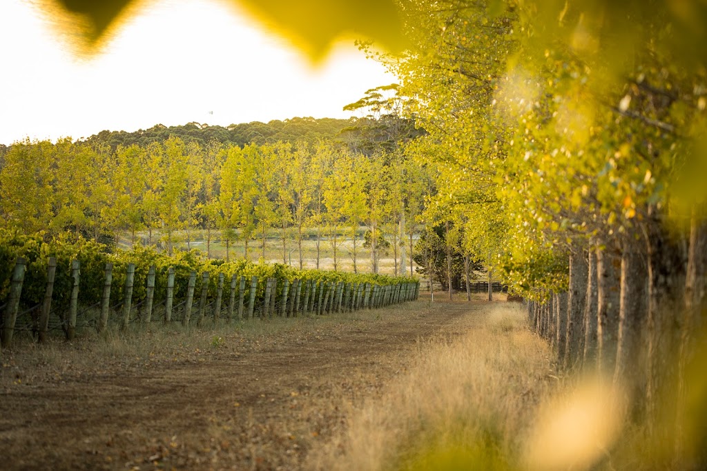 Below & Above Truffles and Wine | 43 Eastbrook Rd, Eastbrook WA 6260, Australia | Phone: 0414 446 405