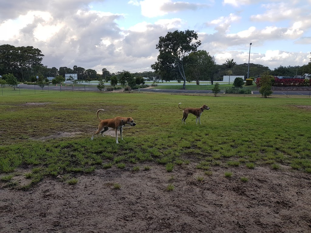 Buderim Dog Park | park | LOT 737 Mooloolaba Rd, Buderim QLD 4556, Australia | 0754767027 OR +61 7 5476 7027