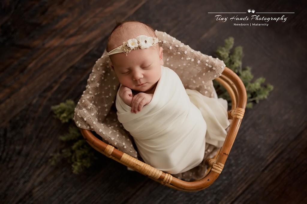 Tiny Hands Newborn Photography Maitland Newcastle | electronics store | 20 Lagoon Ave, Bolwarra NSW 2320, Australia | 0402525075 OR +61 402 525 075