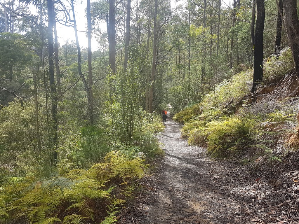 Fernglade Reserve Lookout | 137 Rutherford Rd, Stowport TAS 7321, Australia