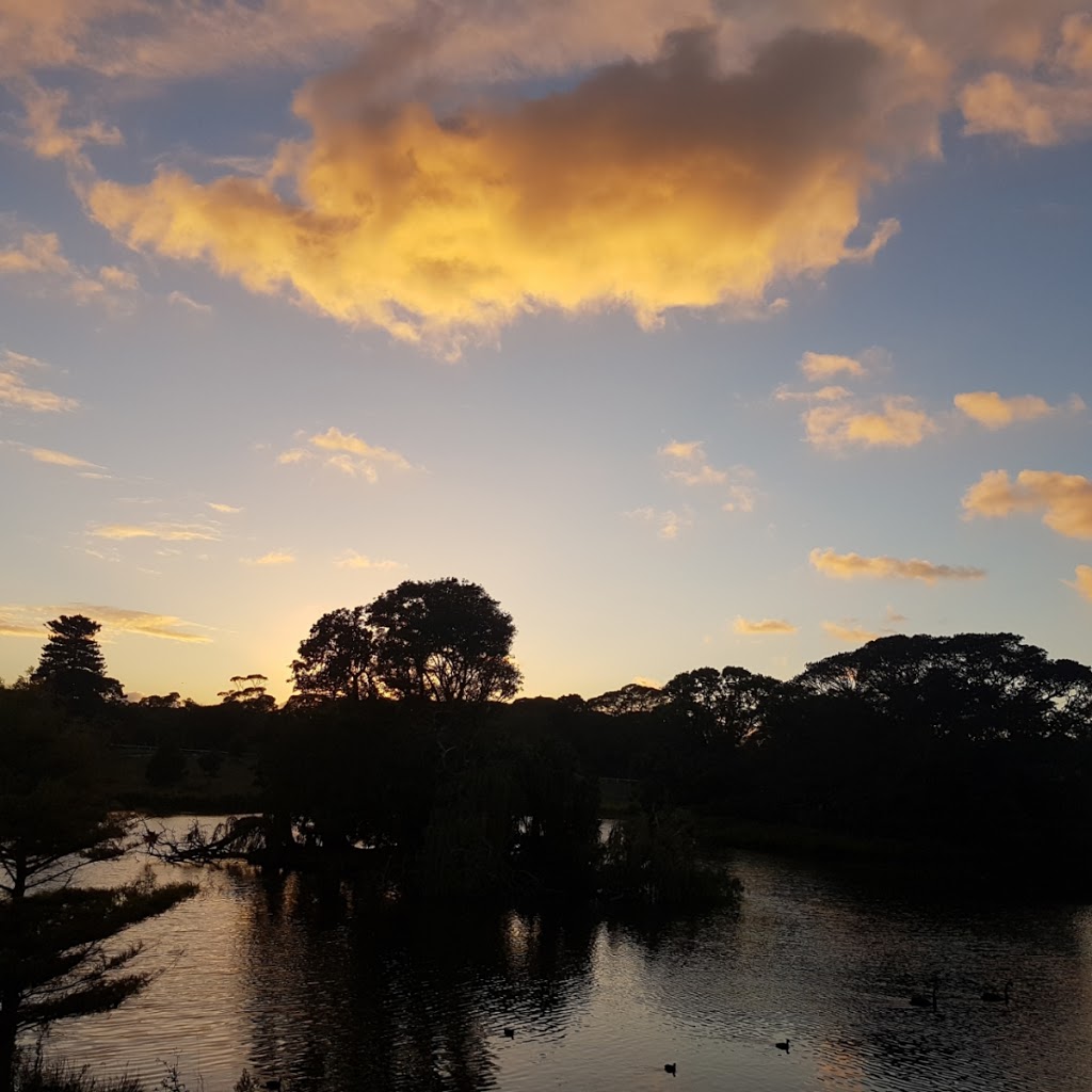 Tai Chi Sydney | Dickens Drive Centennial Park, Labyrinth, Sydney NSW 2021, Australia | Phone: 0415 689 638