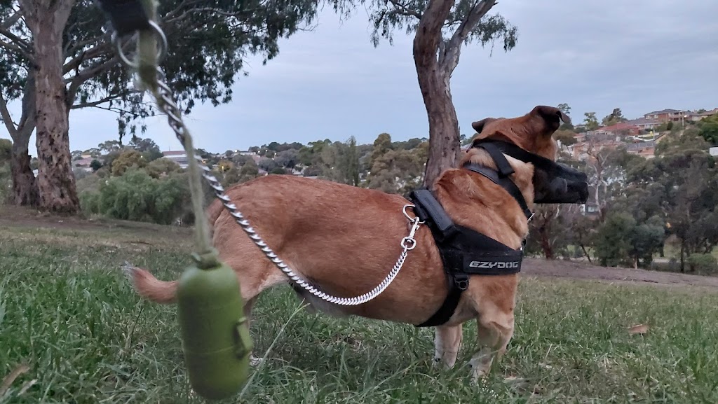 Austin Crescent Reserve Dog Off Leash Area | 22 Austin Cres, Pascoe Vale VIC 3044, Australia | Phone: (03) 8606 3500