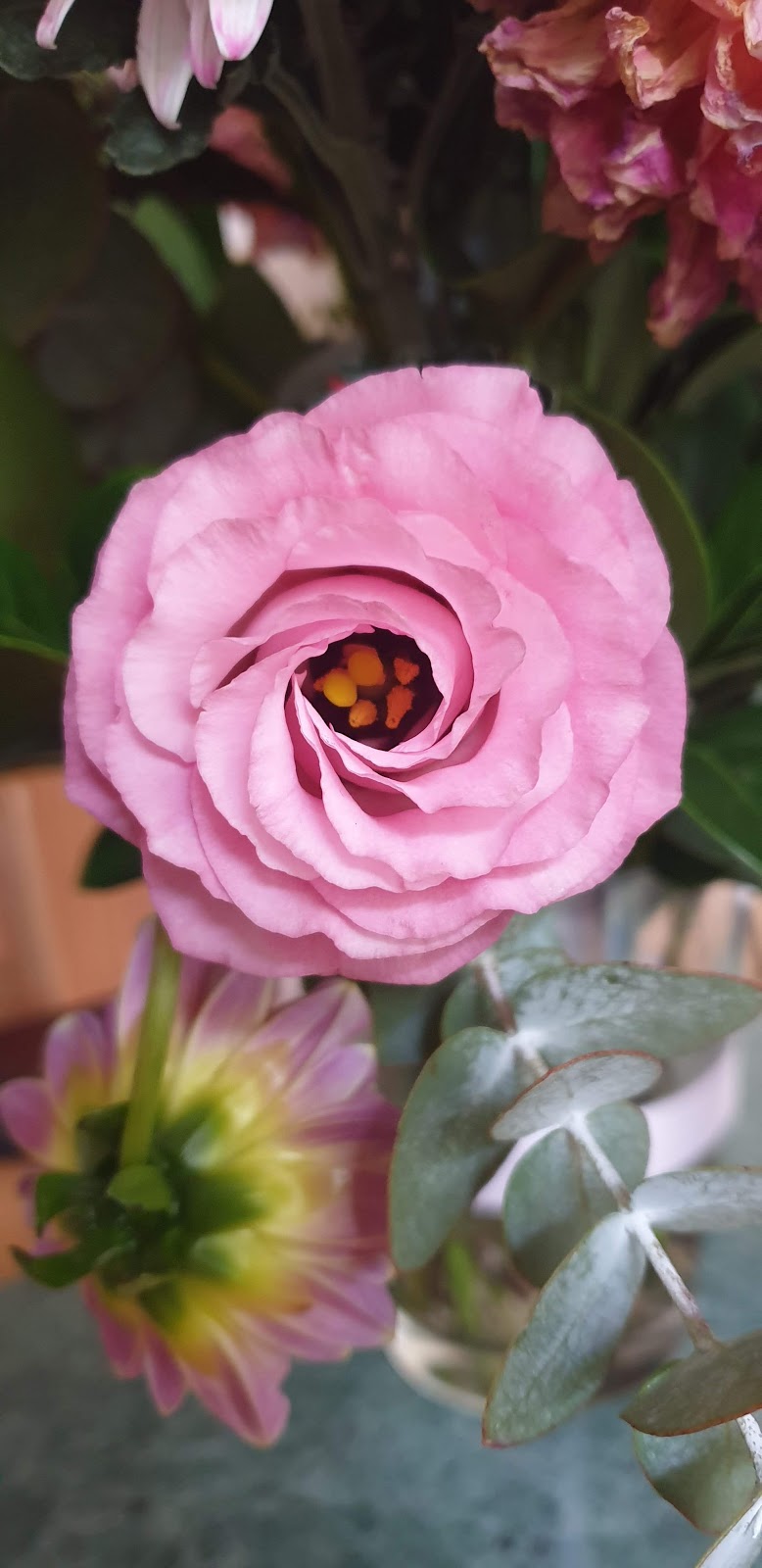 Constance Florist | florist | 18/172 Burwood Hwy, Burwood East VIC 3151, Australia | 0398877016 OR +61 3 9887 7016