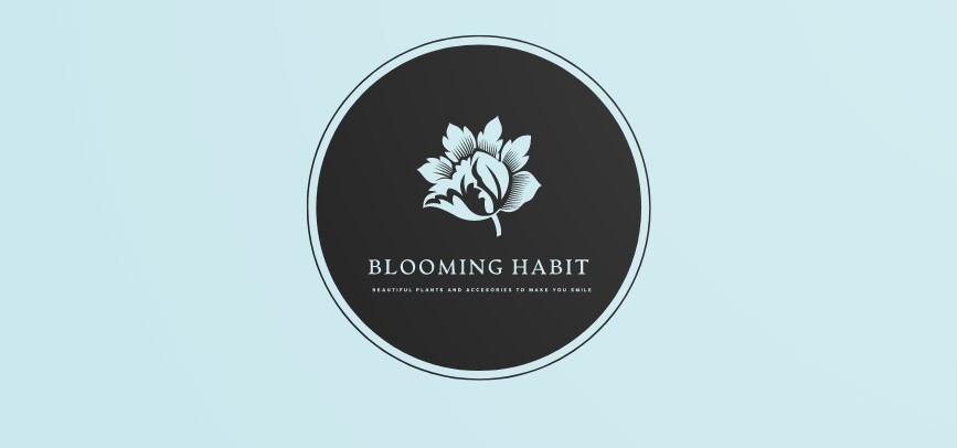 Blooming Habit | Harrow Glen, 33 Missingham Parade, Robertson NSW 2577, Australia | Phone: 0423 930 090