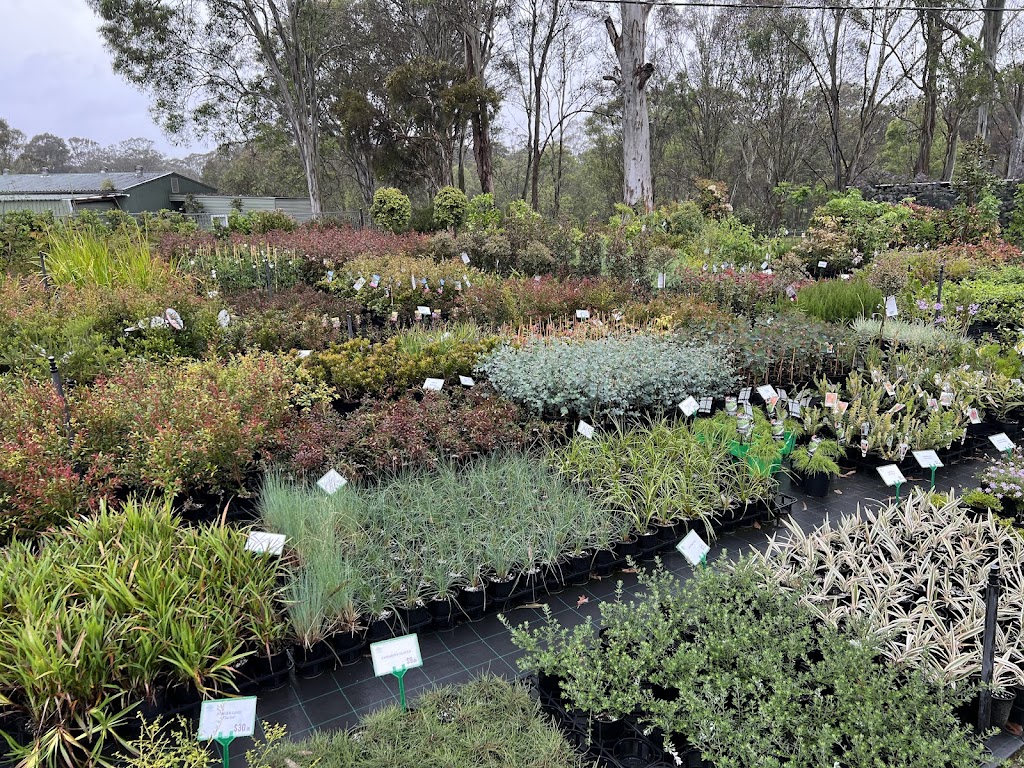 Let it Grow Nursery | 98 Reynolds Rd, Londonderry NSW 2753, Australia | Phone: 0435 500 984