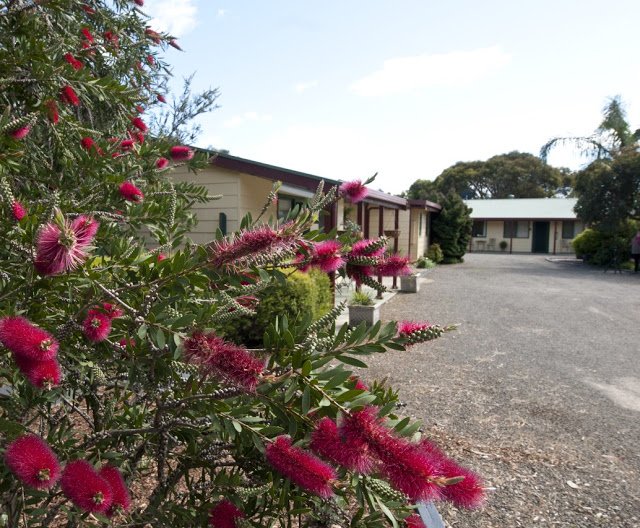 Ficifolia Lodge | lodging | 13 Cook St, Parndana SA 5220, Australia | 0428828400 OR +61 428 828 400