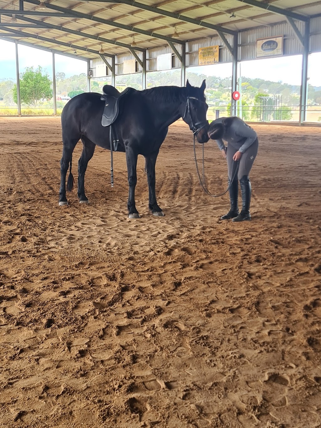 Saddle Fitting SEQ | Beryl Parade, North Maclean QLD 4280, Australia | Phone: 0477 709 283 Saddle Fitting SEQ | Beryl Parade, North Maclean QLD 4280, Australia | Phone: 0477 709 283