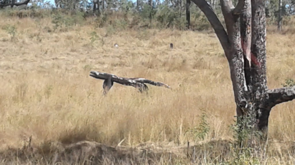 Warro National Park | park | Lowmead QLD 4676, Australia