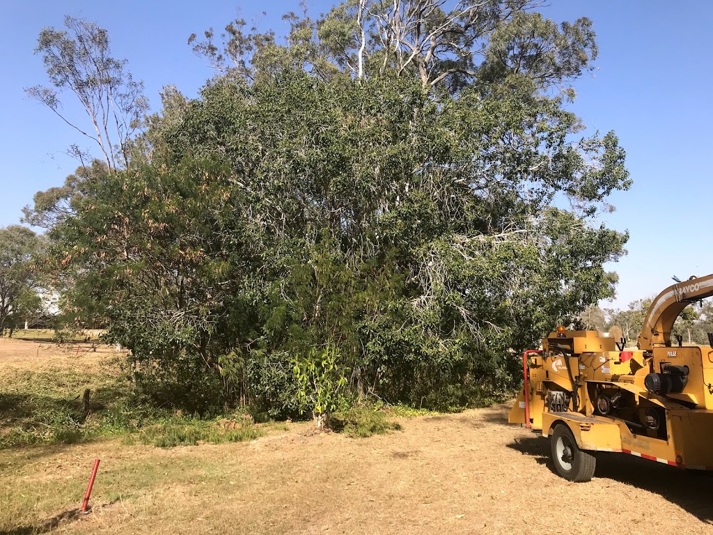 CALL 2 CUT TREE SOLUTIONS - Tree Service Gladstone, Tree Removal | park | 48957 Bruce Hwy, Benaraby QLD 4680, Australia | 0497215664 OR +61 497 215 664