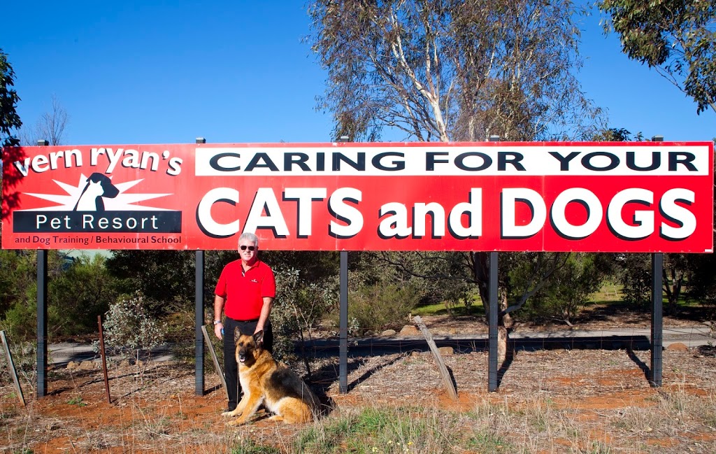 Vern Ryans Pet Resort Check in Center Yarraville | veterinary care | 291 Williamstown Rd, Yarraville VIC 3013, Australia | 0353695236 OR +61 3 5369 5236