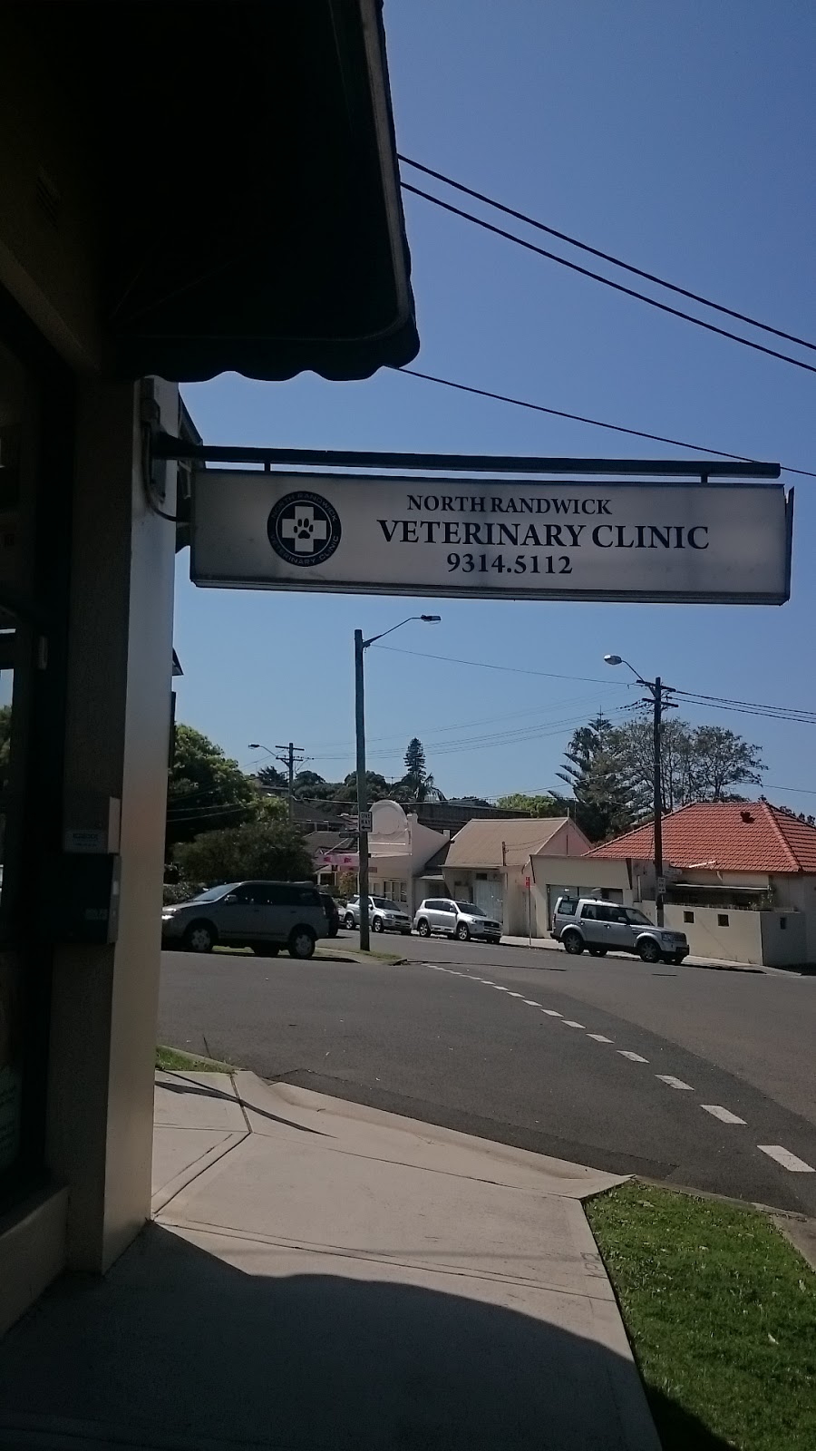 North Randwick Veterinary Clinic | 97-99 Albion St, Randwick NSW 2031, Australia | Phone: (02) 9314 5112