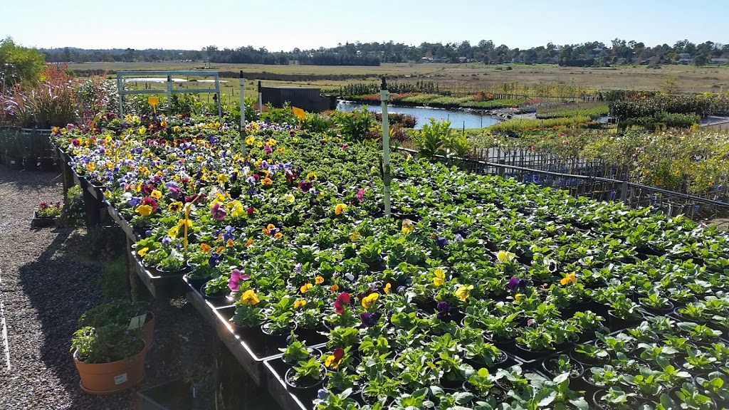 Camden Nurseries | 195 Cawdor Rd, Camden NSW 2570, Australia | Phone: 0458 959 081