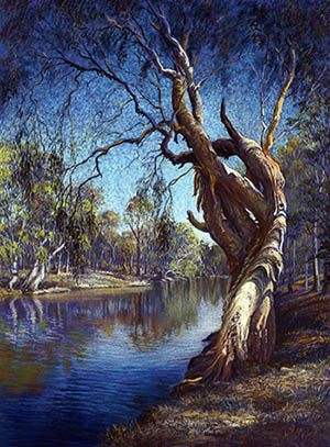 Wins Gallery Art & Woodcraft | 2 Ethel St, Ravenshoe QLD 4888, Australia | Phone: (07) 4097 6270