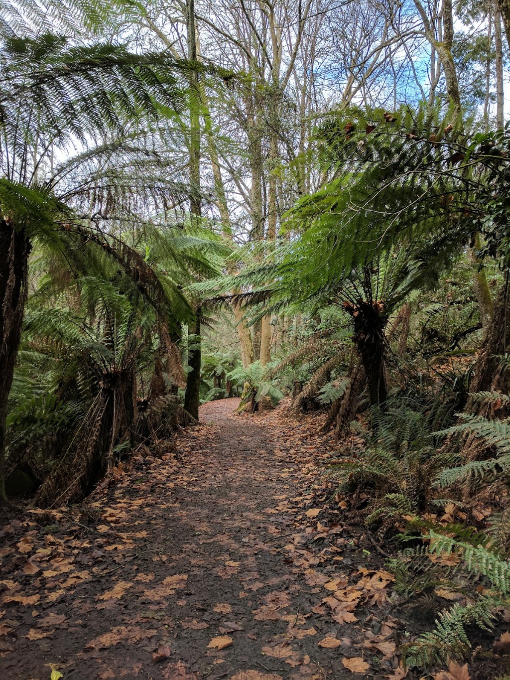 Emerald Lake Park | Emerald Lake Rd, Emerald VIC 3782, Australia | Phone: 1300 131 683