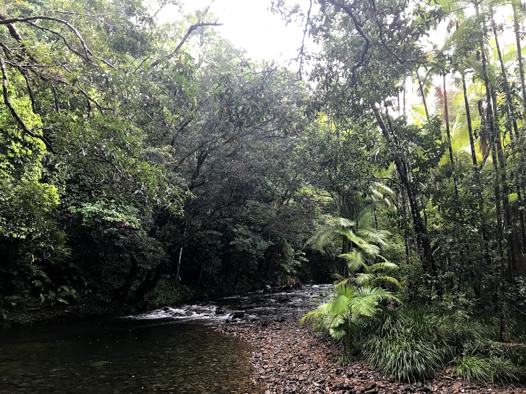 Noah Creek | lodging | Cape Tribulation Rd, Noah QLD 4873, Australia | 0740989297 OR +61 7 4098 9297