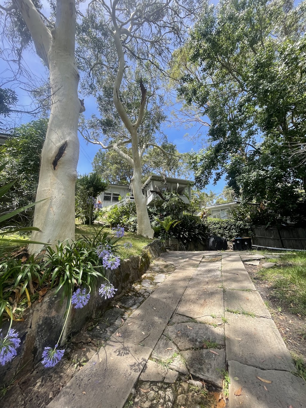 YOGA WITH CLARI | 129 Whale Beach Rd, Avalon Beach NSW 2107, Australia | Phone: 011 15-6890-3351