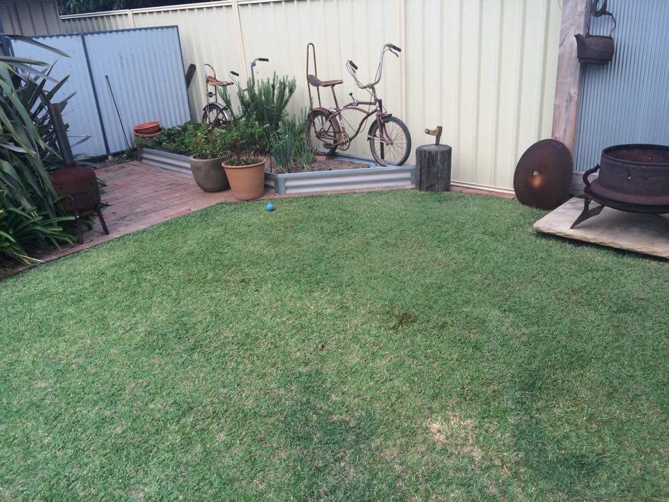 A Plus Lawn Maintenance | 45 Parraweena Rd, Gwandalan NSW 2259, Australia | Phone: 0456 207 331