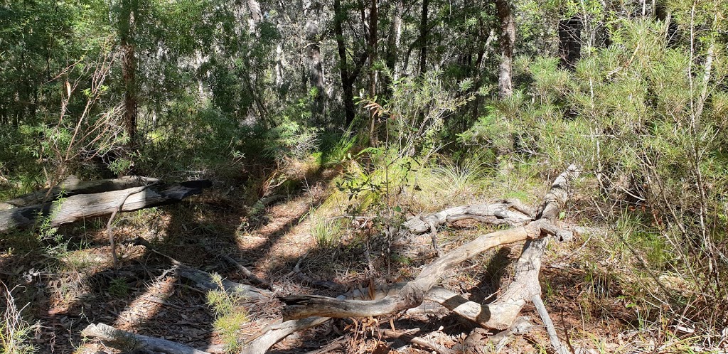 Ulladulla Wildflower Reserve | park | Warden St, Ulladulla NSW 2539, Australia