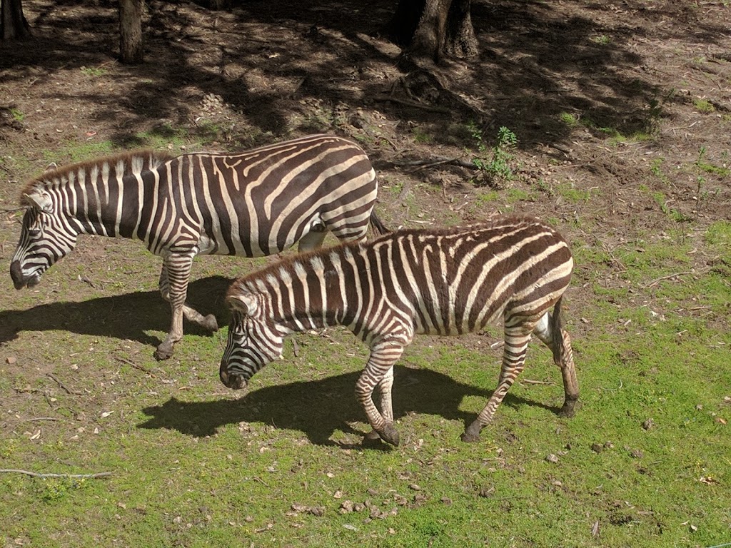 Taronga Western Plains Zoo | zoo | Obley Rd, Dubbo NSW 2830, Australia | 0268811400 OR +61 2 6881 1400
