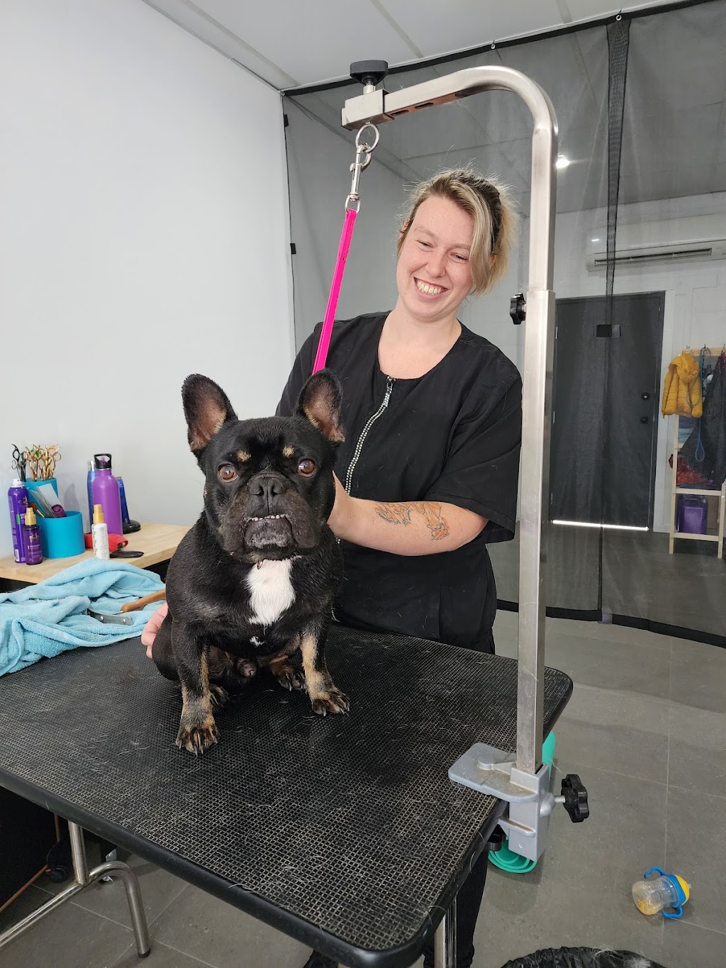 Picture Perfect Pets | shop 10 4/8 Walters St, Lowood QLD 4311, Australia | Phone: 0481 156 155