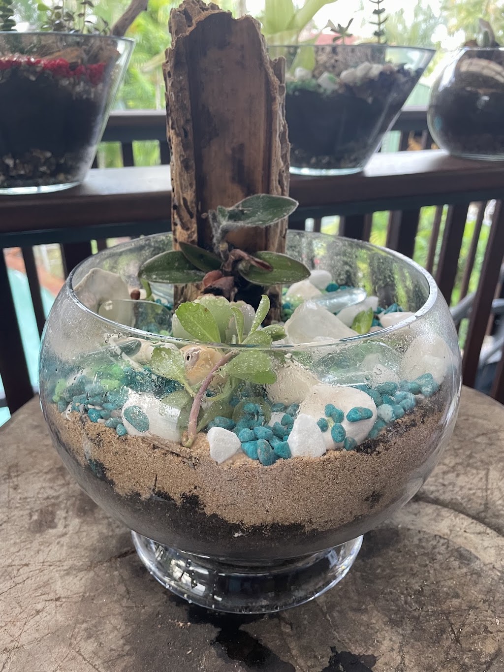 Living Art Creations | 4 Cameron St, East Mackay QLD 4740, Australia | Phone: 0432 417 611