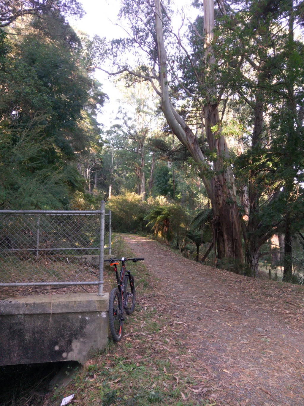 O’Shannassy Aqueduct Trail | park | Dee Rd, Millgrove VIC 3799, Australia | 131963 OR +61 131963
