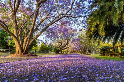 Toogoolawah Skate Park | Toogoolawah QLD 4313, Australia