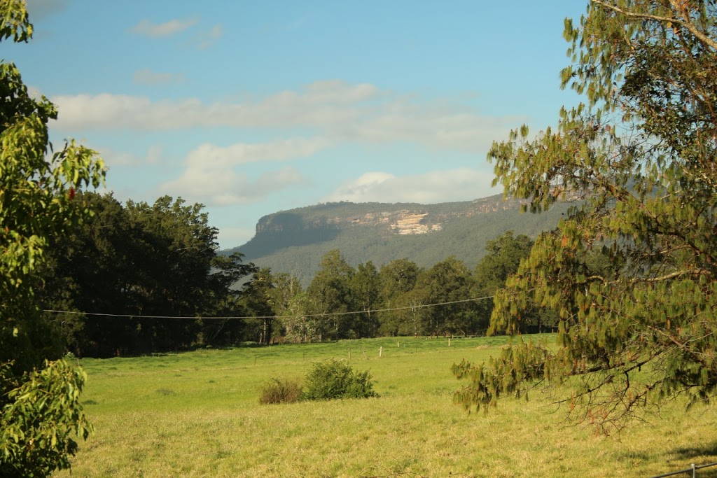 Kangaroo Valley Folk Festival |  | 177 Moss Vale Rd, Kangaroo Valley NSW 2577, Australia | 0412288923 OR +61 412 288 923