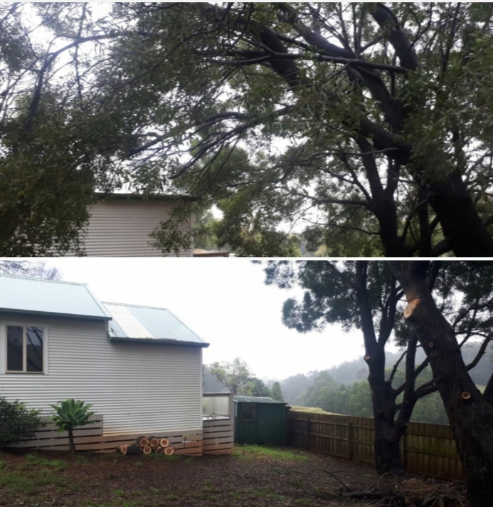 Gippsland Arboriculture Specialists |  | 36 Albert St, Moe VIC 3825, Australia | 0403080315 OR +61 403 080 315