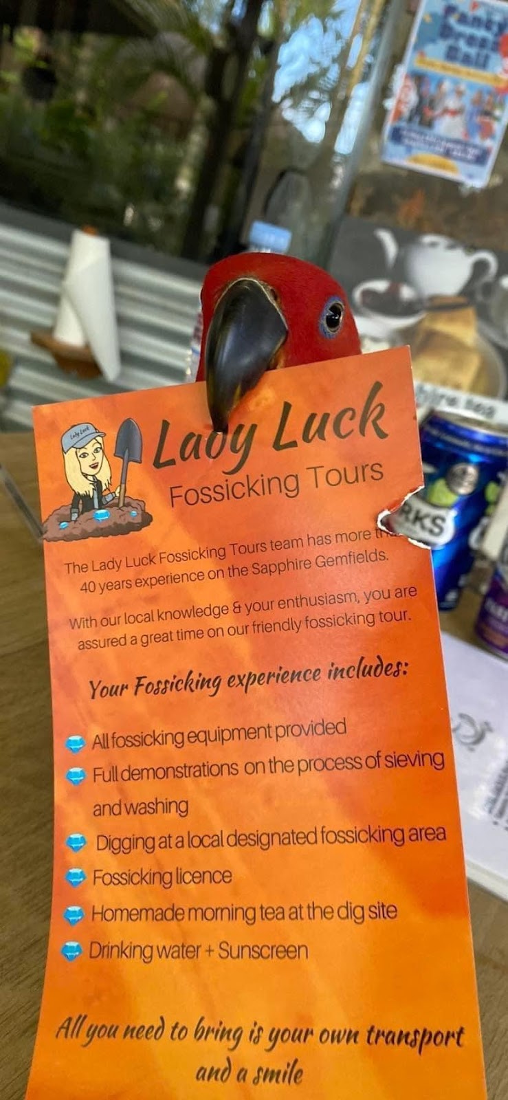 Lady Luck Fossicking Tours | 45 Sunrise Road, Sapphire Central QLD 4702, Australia | Phone: 0456 433 719