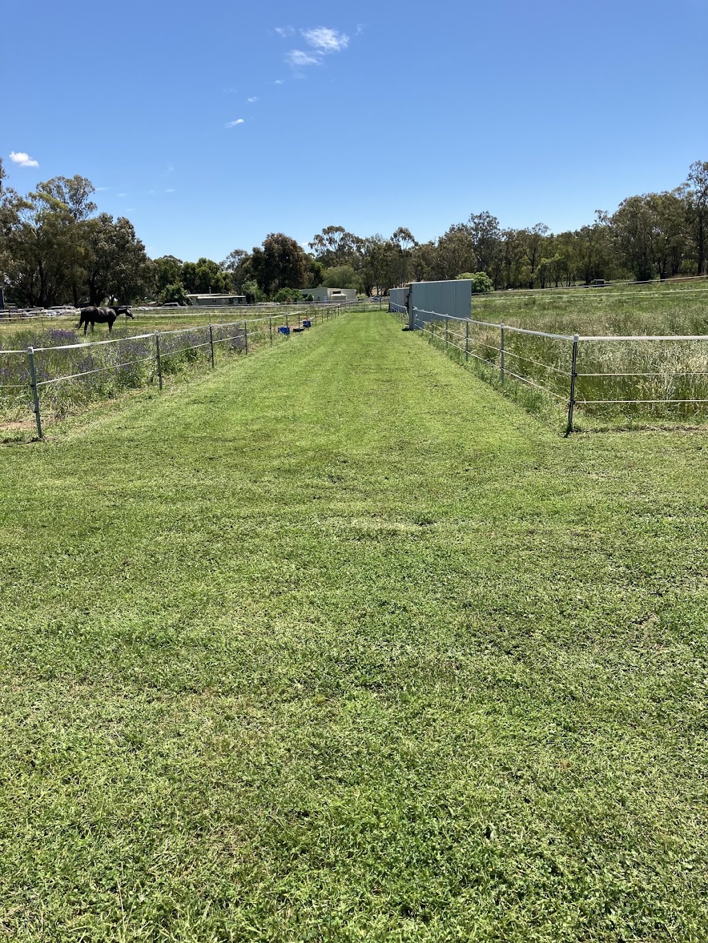 Mower Mate Lawn and Property Maintenance | general contractor | 4172 Olympic Hwy, The Rock NSW 2655, Australia | 0437904799 OR +61 437 904 799