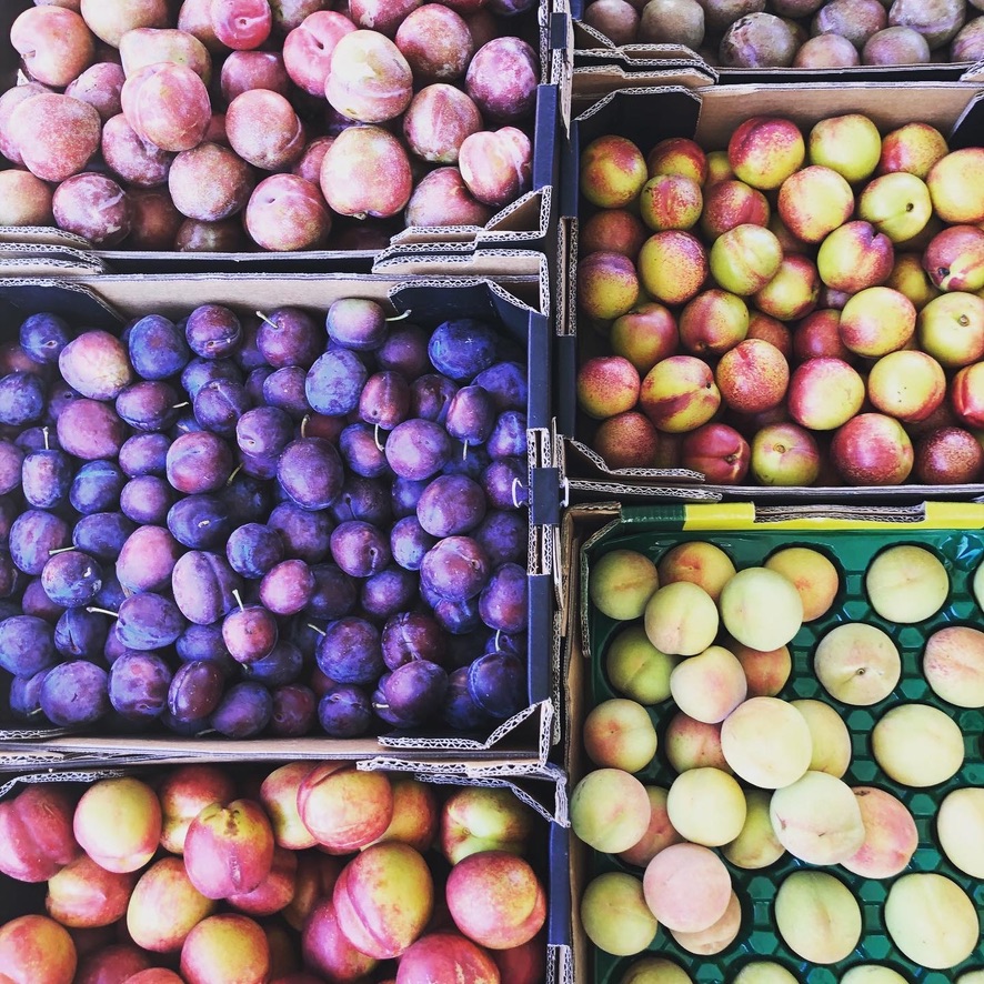 Castlemaine Farmers Market Weekly | Camp Reserve, Forest St, Castlemaine VIC 3450, Australia | Phone: 0490 366 243