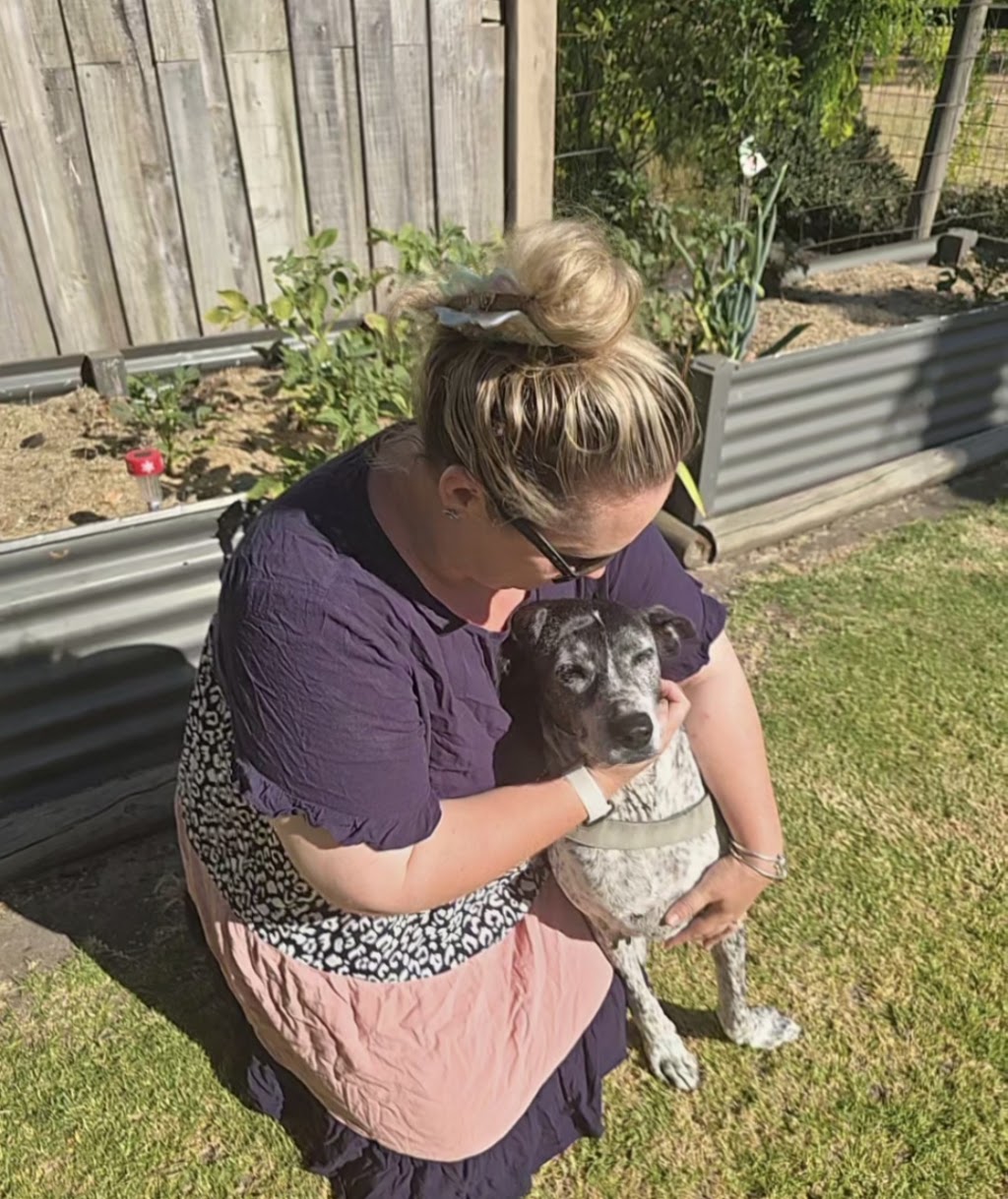 Rainbow Bridge - In-Home Pet Euthanasia | 10 S Beach Rd, Somers VIC 3927, Australia | Phone: 0499 315 689