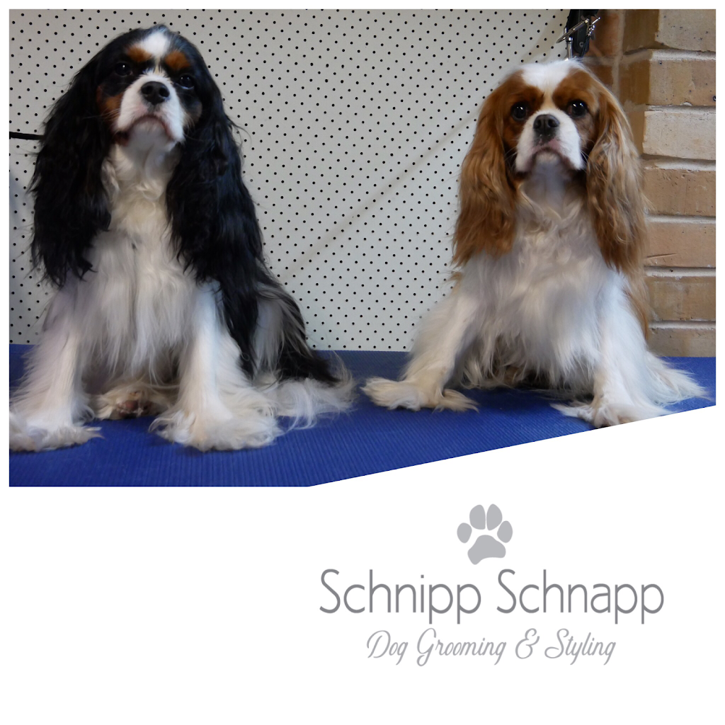 Schnipp Schnapp Dog Grooming & Styling |  | Myall St, Tea Gardens NSW 2324, Australia | 0498085665 OR +61 498 085 665