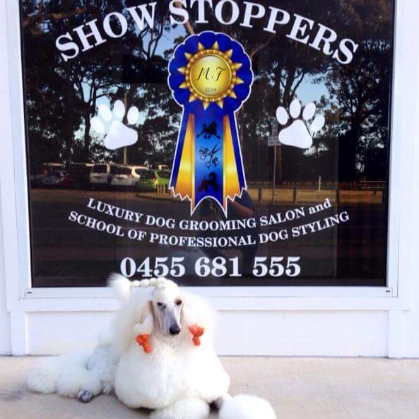 Show Stoppers Luxury Dog Grooming Salon |  | 6 Masters Ave, Victoria Point QLD 4165, Australia | 0455681555 OR +61 455 681 555