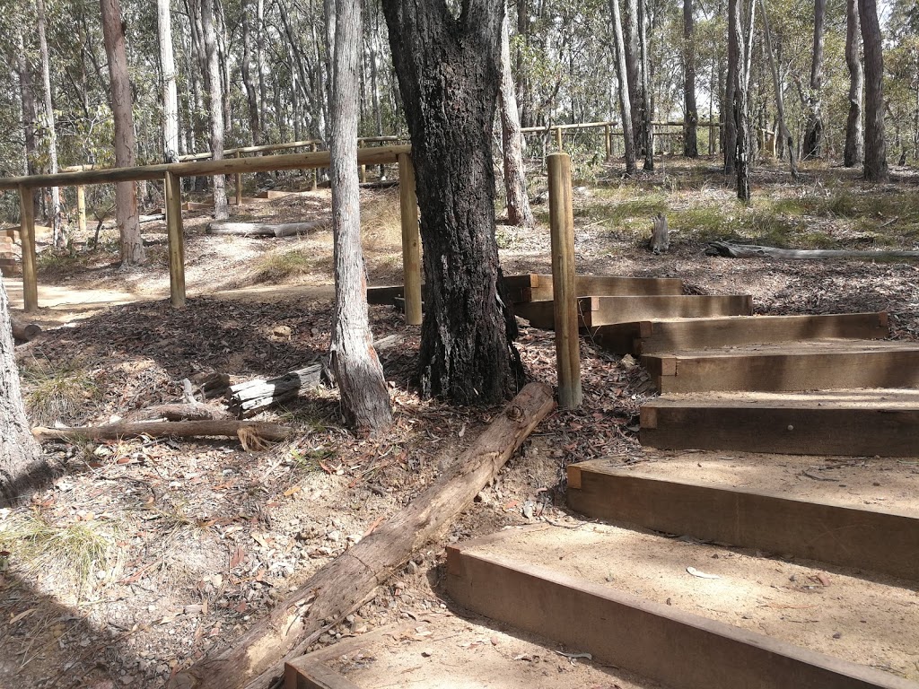 Toohey Forest Park | park | 600 Toohey Road, Nathan QLD 4111, Australia | 0738757124 OR +61 7 3875 7124