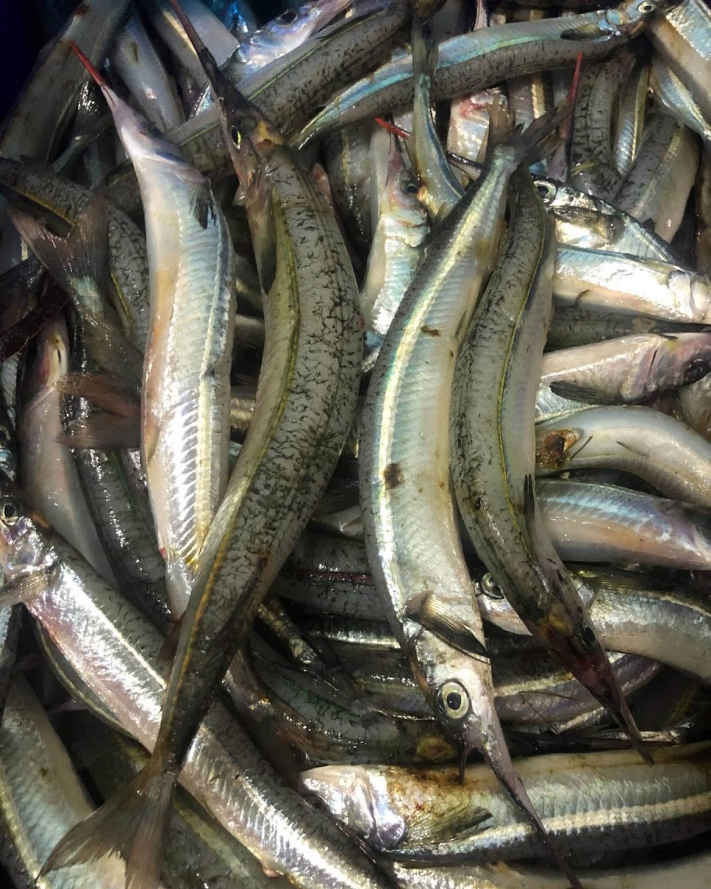 Anastos Fisheries | food | 15 Foch St, North Shore VIC 3214, Australia | 0492961769 OR +61 492 961 769