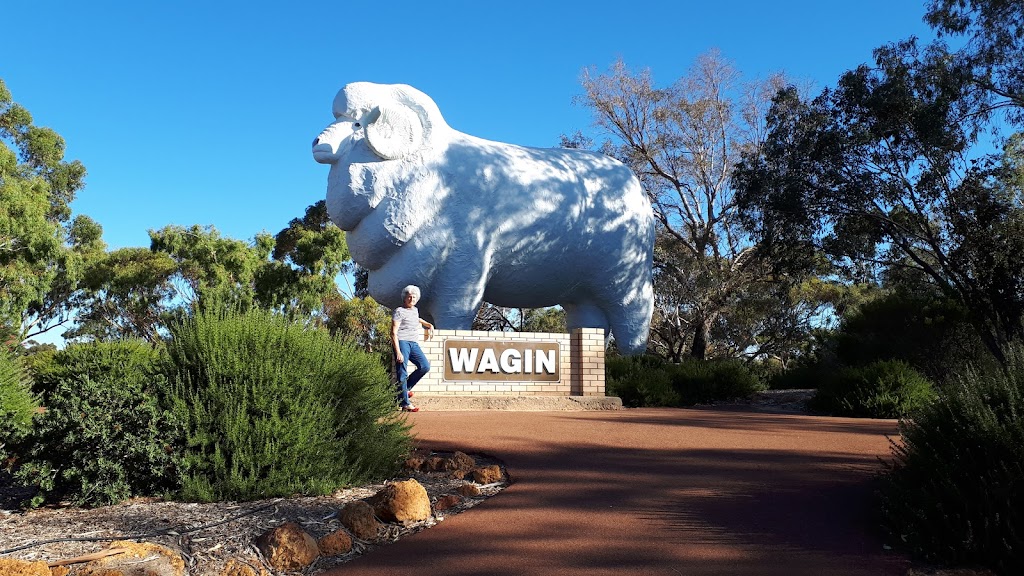 Wagin Earthmoving | 40-44 Vernal St, Wagin WA 6315, Australia | Phone: 0428 889 261