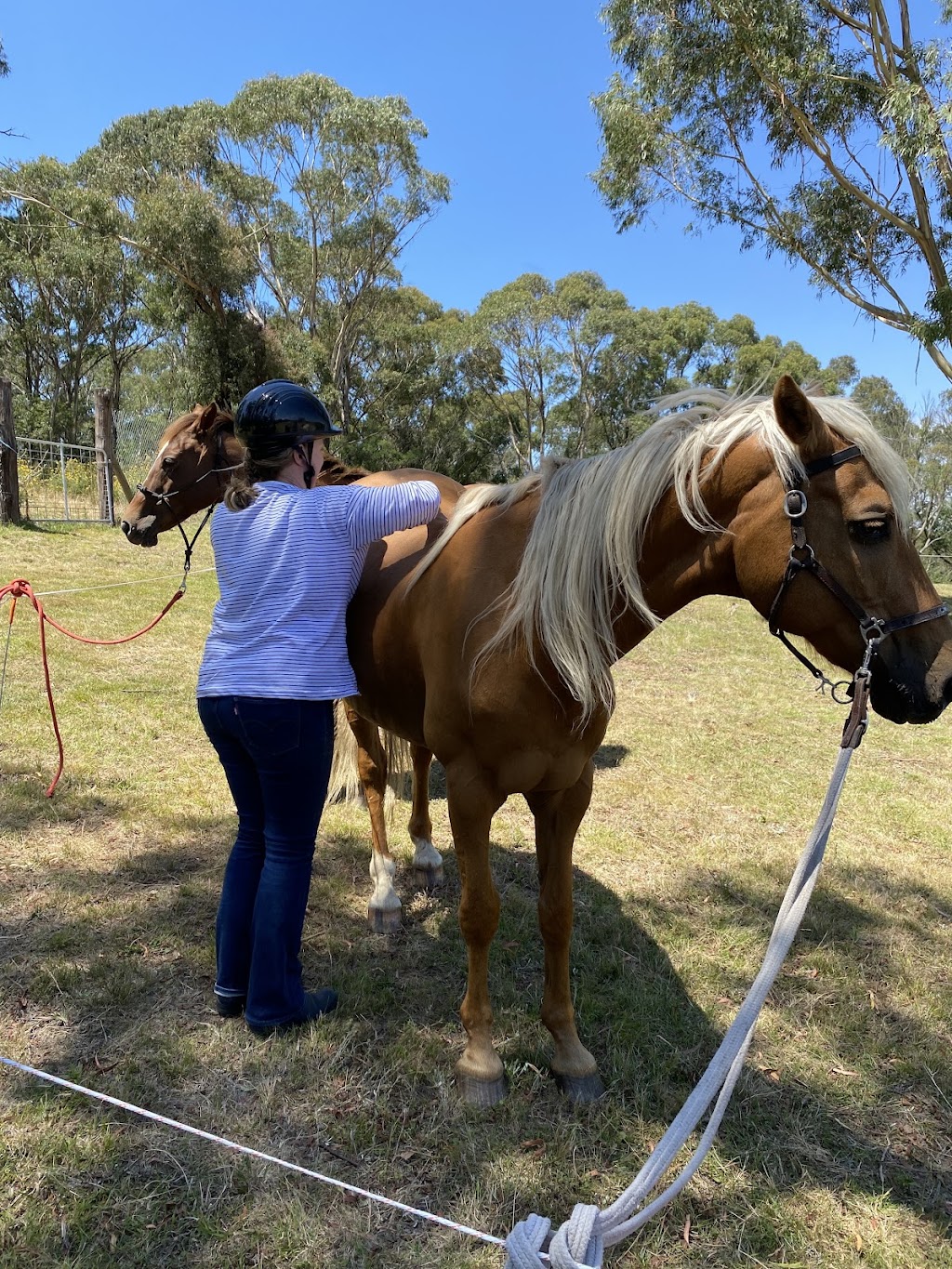 Canyonleigh Trails | 2400 Canyonleigh Rd, Canyonleigh NSW 2577, Australia | Phone: 0490 205 505