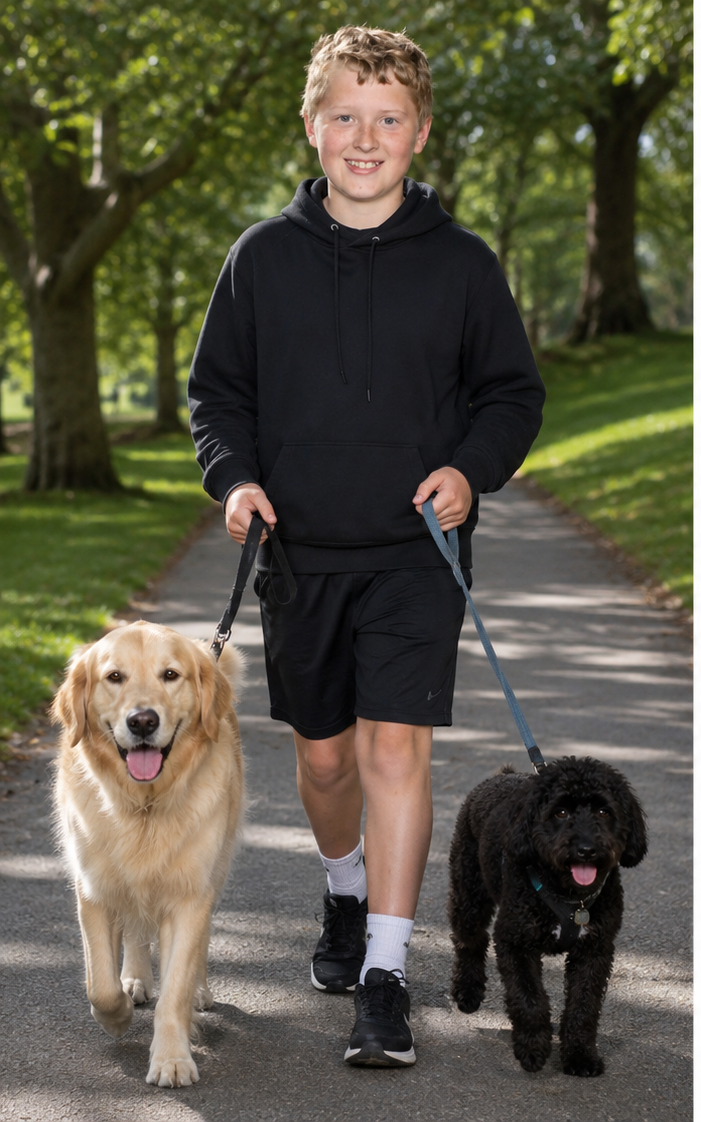 kitchener dog walker | 9 cooley avenue, Kitchener NSW 2325, Australia | Phone: 0494 308 362