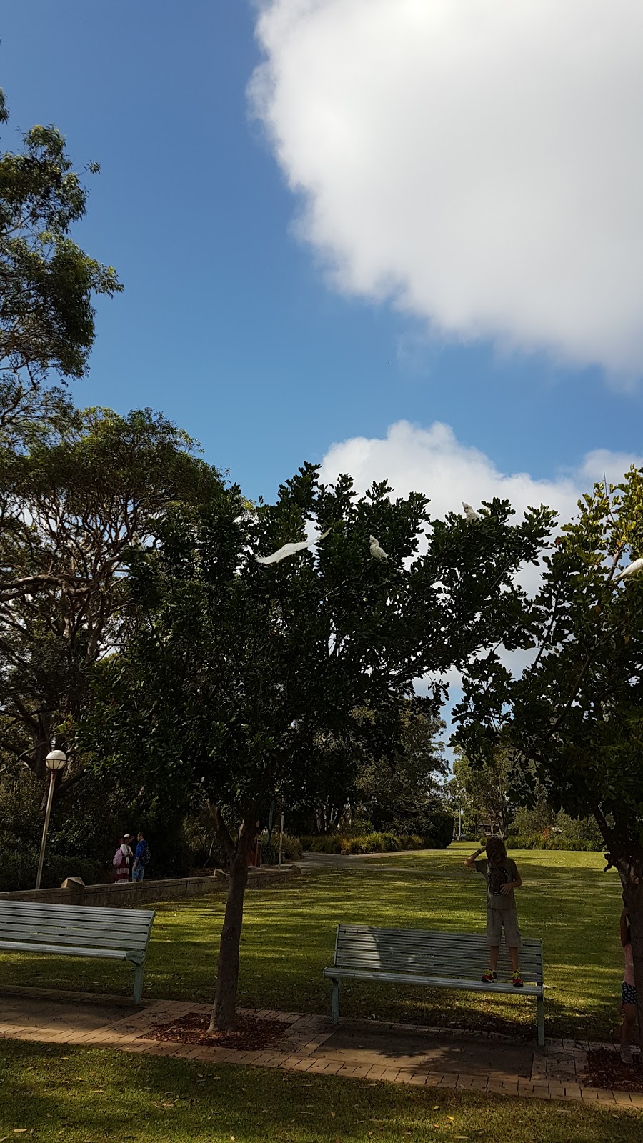 Huskisson parkrun | health | White Sands Park, Hawke St, Huskisson NSW 2540, Australia